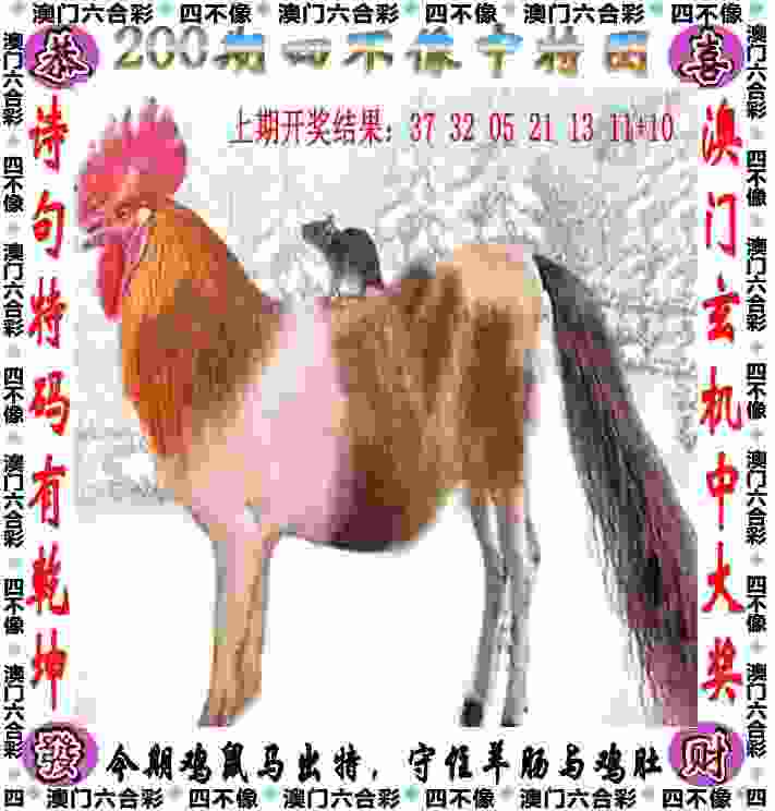 >77777788888王中王中特亮点